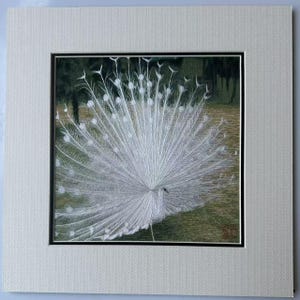 King silk art handmade embroidery wildlife birds Peacock 31530