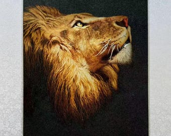 Museum collection King silk art handmade embroidery art 《王者凝望 · Regal Gaze》CM74740