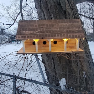 Birdhouse Large Four Bed Farmhouse Purple Martin Home Cabin Nest bird house Cedar Wooden