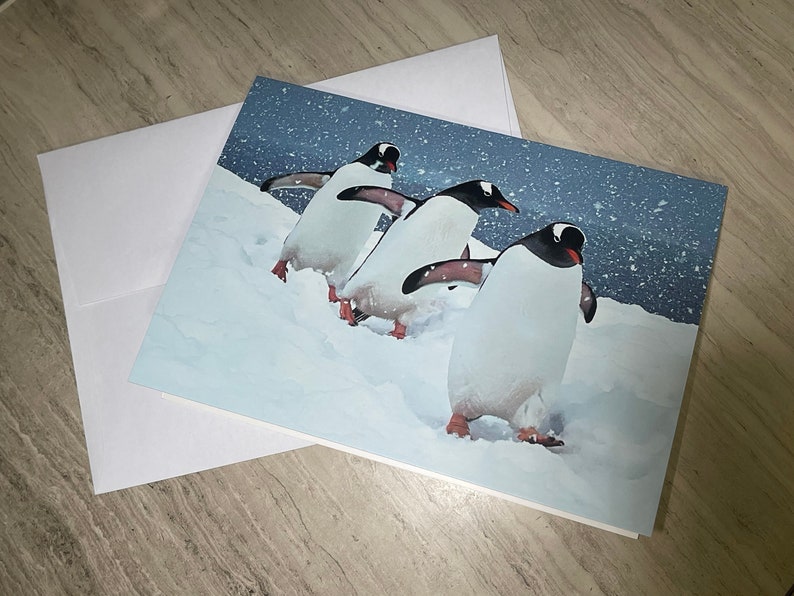 Carte de voeux manchots papous ; l'Antarctique. Paysage d'hiver enneigé à l'arrêt pour un mot de remerciement/anniversaire/rétablissement/félicitations/vacances/Noël image 3