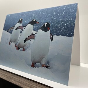 Carte de voeux manchots papous ; l'Antarctique. Paysage d'hiver enneigé à l'arrêt pour un mot de remerciement/anniversaire/rétablissement/félicitations/vacances/Noël image 2
