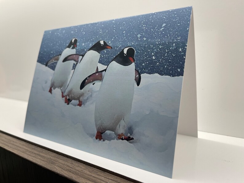 Carte de voeux manchots papous ; l'Antarctique. Paysage d'hiver enneigé à l'arrêt pour un mot de remerciement/anniversaire/rétablissement/félicitations/vacances/Noël image 2