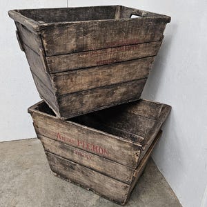 Antique Champagne Harvest Boxes