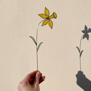 Vidrieras de narciso