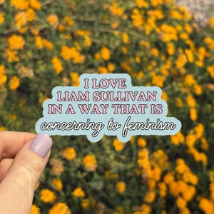 May include: A light blue sticker with the text "I LOVE LIAM SULLIVAN IN A WAY THAT IS concerning to feminism" in pink and white. The sticker is held in front of a background of yellow flowers.