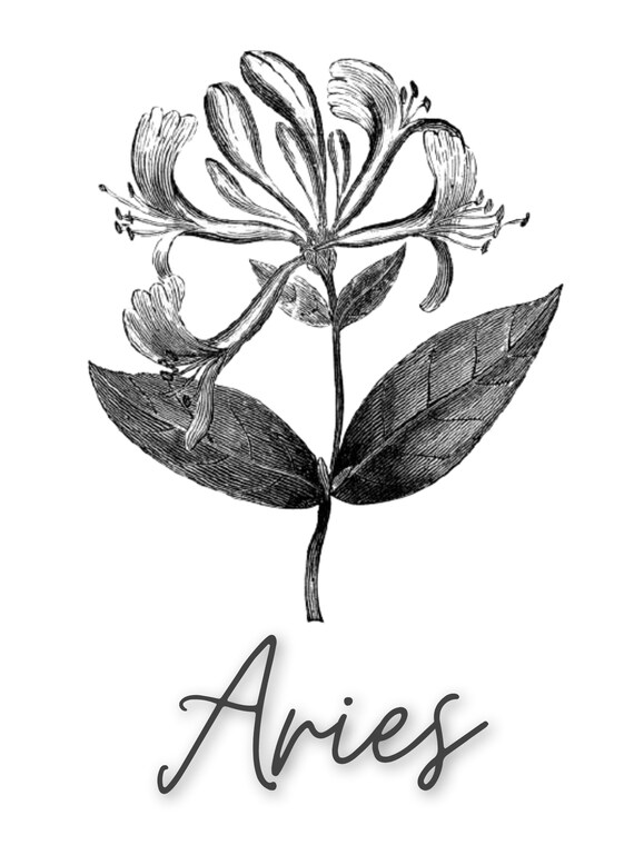 Aries Honeysuckle Zodiac Print Poster Digital Download Etsy