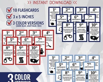 U.S. Bill of Rights, Bill of Rights Flashcards, U.S. Government, Constitution, Amendments, Digital, Instant Download, PDF, 8.5" x 11”
