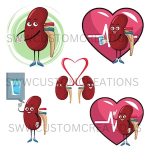 Kidney PNG files
