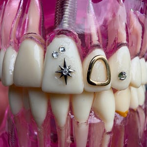 18K Tooth Gem Motif White Gold & Yellow Gold