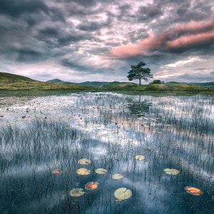 Carte de voeux avec photographies d'art - Kelly Hall Tarn