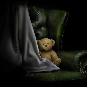 Carte de vœux de photographie d’art - Little Bear