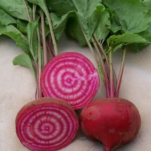 May include: Two red beets with white rings, one sliced in half, showing the inside of the beet. The beets have green leafy tops.