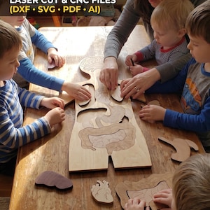 Op de afbeelding: Een houten menselijk anatomiepuzzel met lasergesneden orgaanonderdelen. De tekst luidt: DIY STEM PROJECT HUMAN ANATOMY PUZZLE, LASER CUT & CNC FILES (DXF, SVG, PDF, AI), DIGITAL DOWNLOAD, NO PHYSICAL ITEM WILL BE SHIPPED, EASY ASSEMBLY GUIDE INCLUDED.