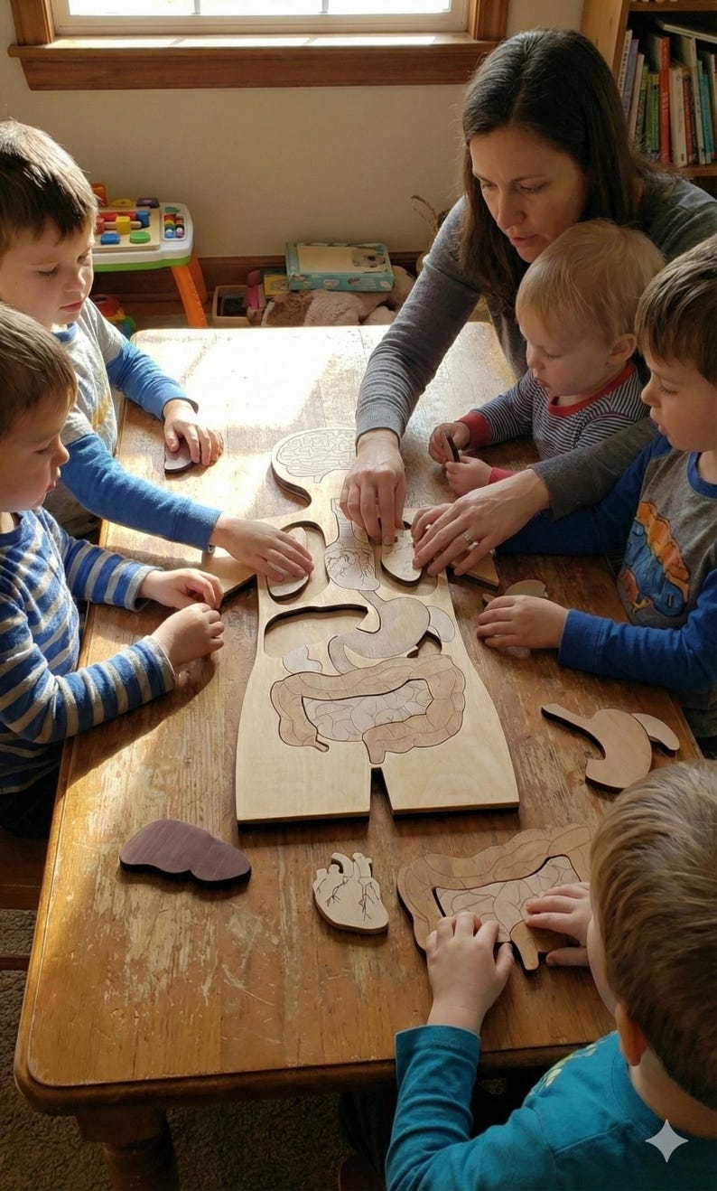 Wooden Anatomy Puzzle SVG - Human Body Learning Toy - Montessori ...