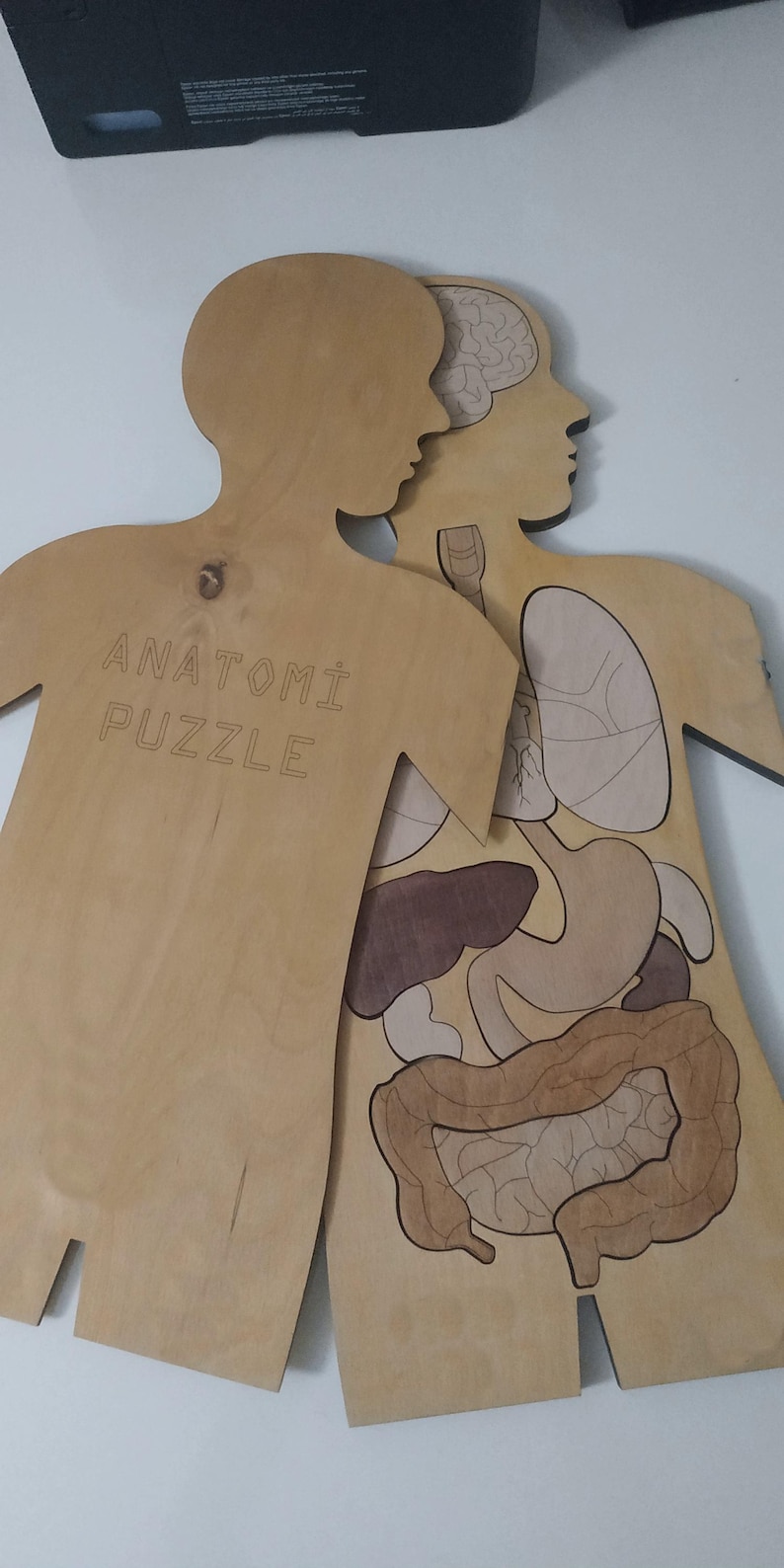 Wooden Anatomy Puzzle SVG - Human Body Learning Toy - Montessori ...