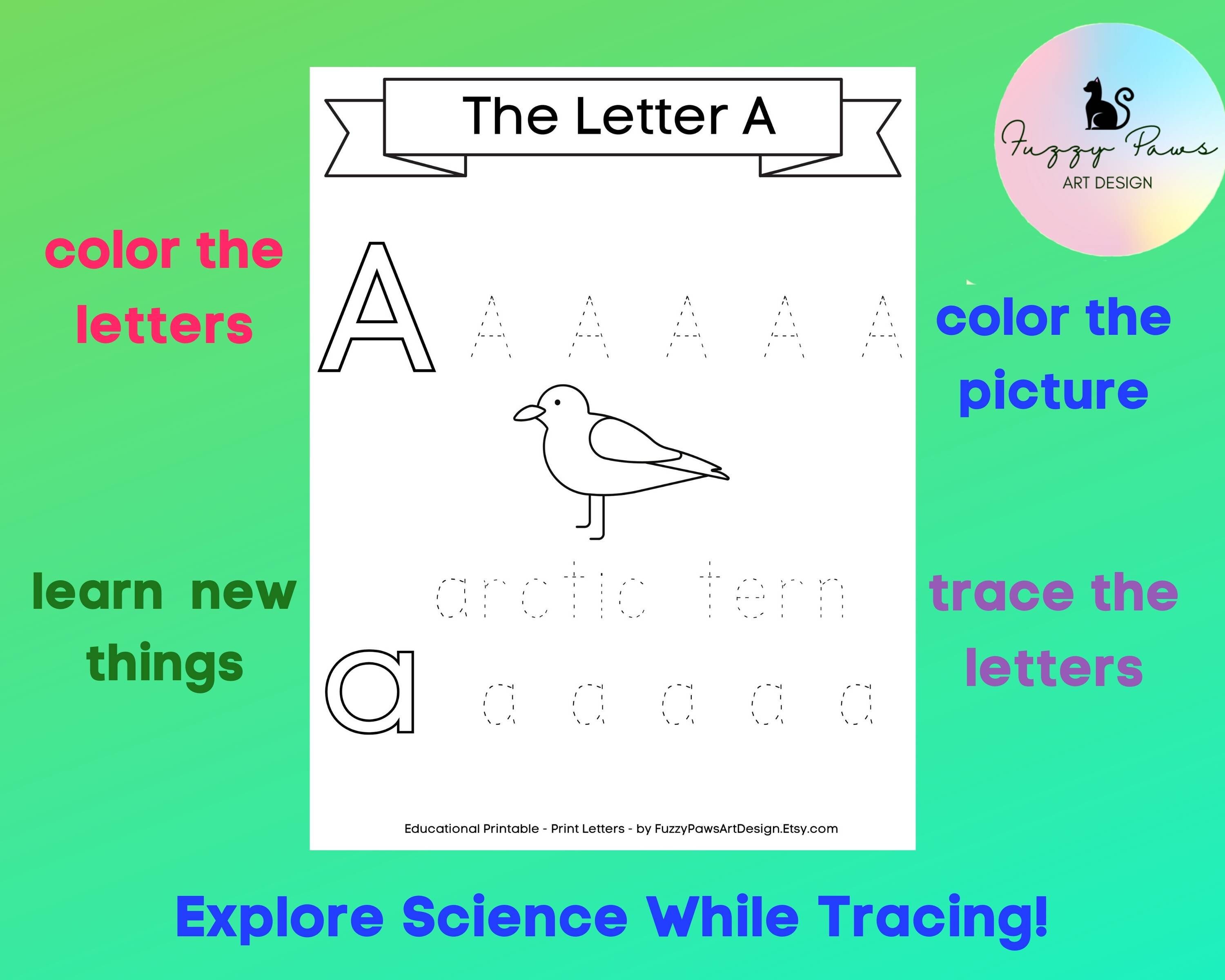 6 sets of printable alphabet tracing worksheets science etsy