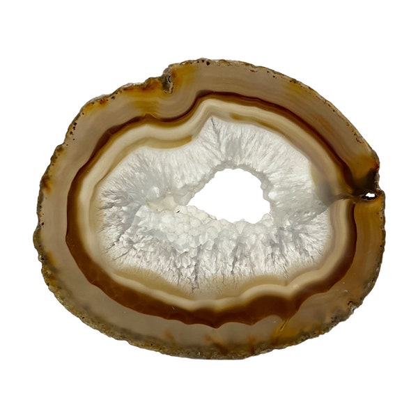 Natural Agate Slice 4.25-5.5" (Brown/Tan - You Pick)