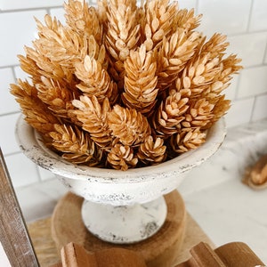 Beige Hops Half Sphere, Greenery, Wheat Faux Plant, Home Decor, Fall Decor, Autumn fall foliage, Basket Filler