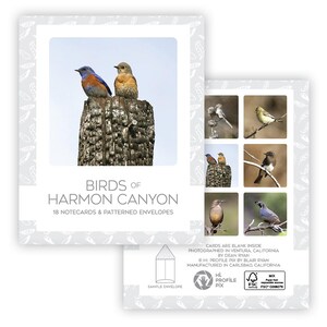 Cartes vierges Birds of Harmon Canyon Preserve Ventura en Californie - Cartes de voeux pour oiseaux - Cadeaux de papeterie - Cartes en papier - Pour les ornithologues amateurs