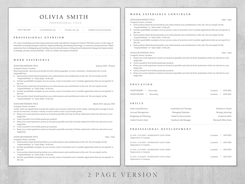 May include: A two-page resume template with a professional design. The resume includes sections for professional overview, work experience, education, skills, and professional development. The template is formatted with clear headings and bullet points.