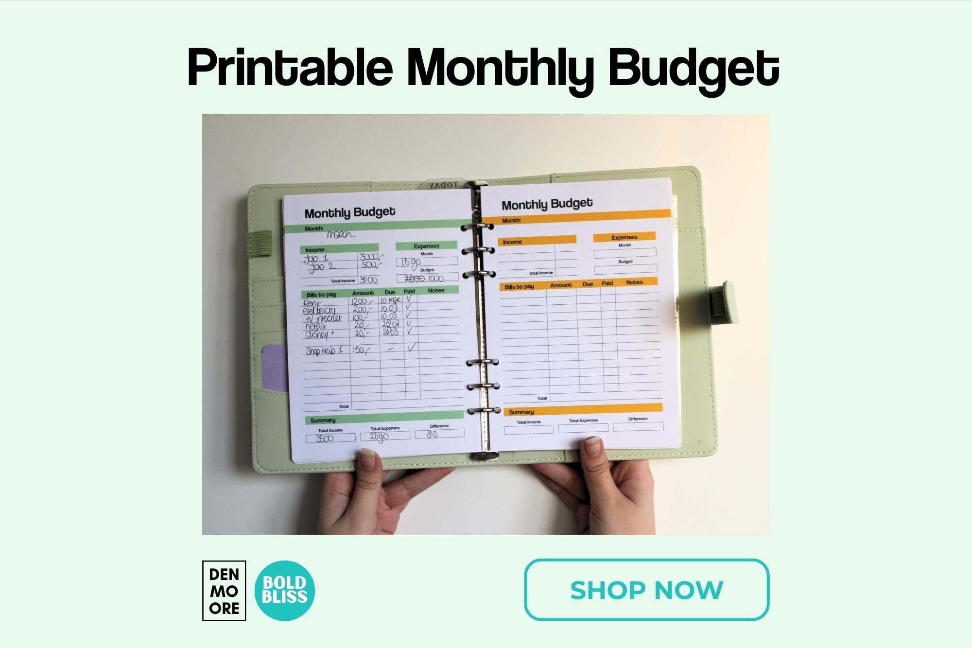 Printable Monthly Budget Page in 5 Colors! - Etsy