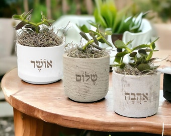 Hebrew Laser Etched Mini Pots | Eco-Friendly Jewish Mini Pots | Jewish Eco Homes |  Jewish Gifts | Jewish Home Decor