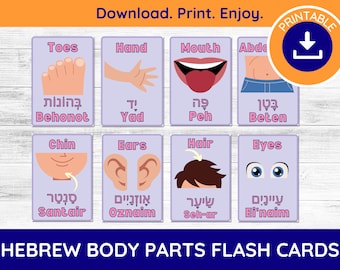 Hebrew Body Parts Flash Cards Hebrew Flash Cards Learn Your Body Parts in Hebrew Hebrew Activity Hebrew Letters Hebrew Kids Learning