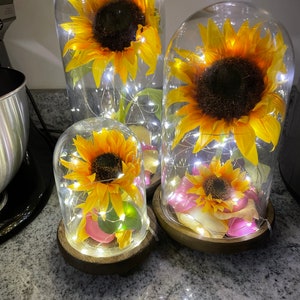 Enchanted Flower(s)