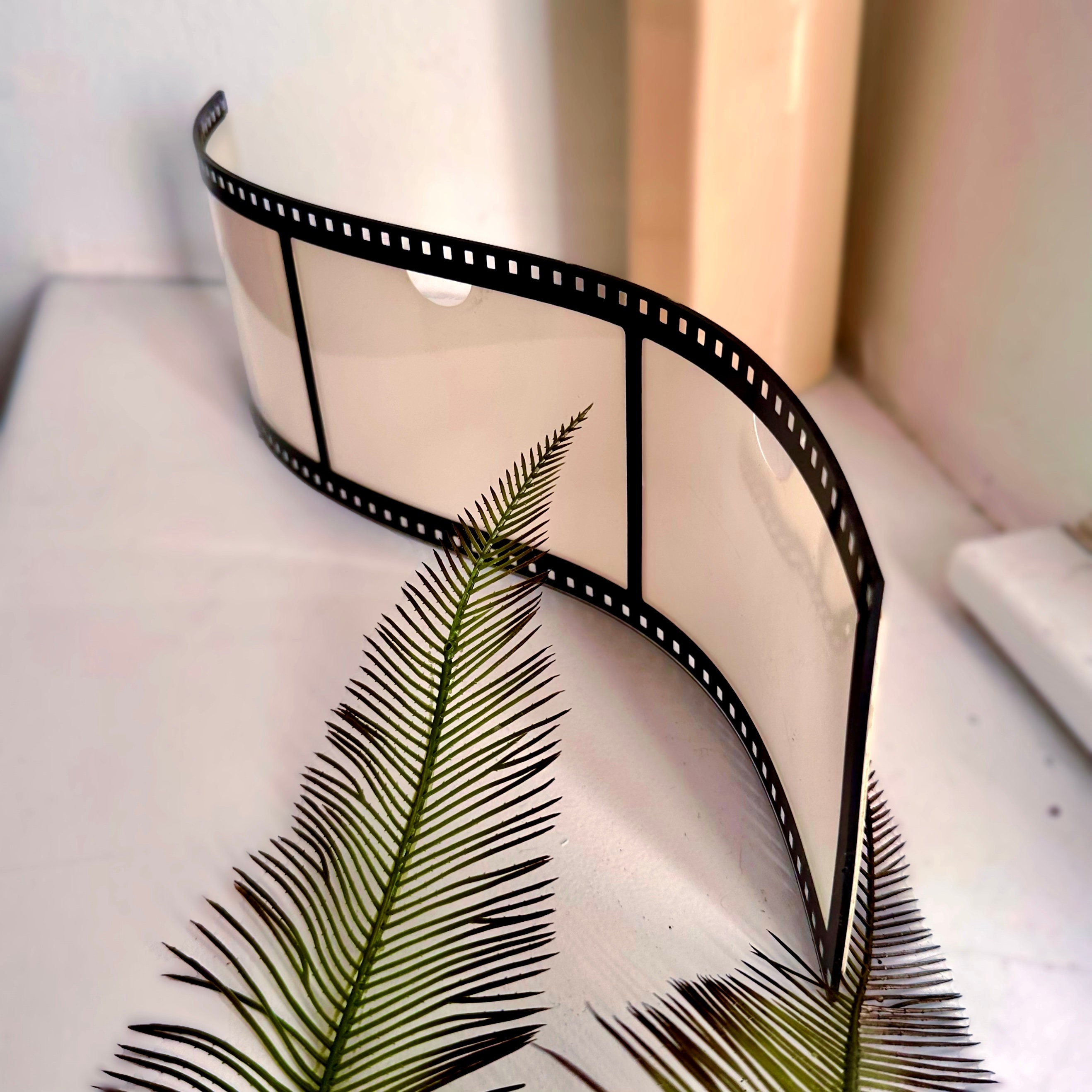 Film Reel Display 
