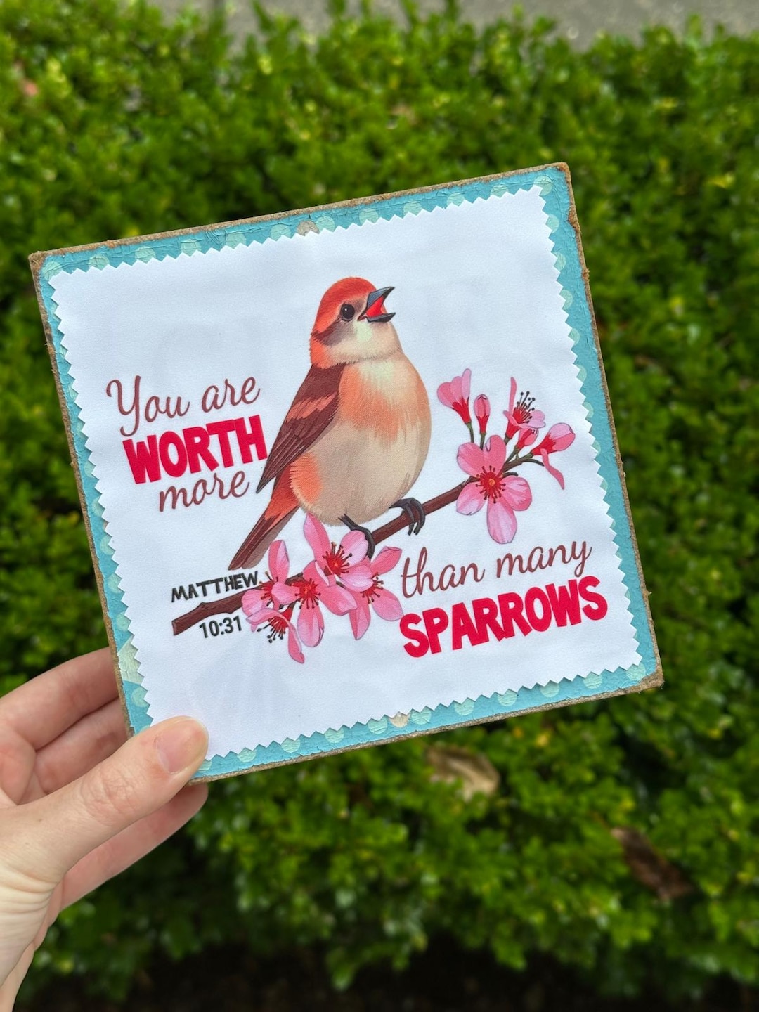 Microfiber Lenscloth - You Are Worth More Than Many Sparrows - Matthew ...