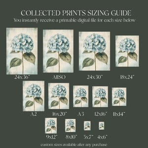 Blue Hydrangea Flower Print: Vintage Botanical Spring Wall Art, French Country Decor, Printable (Digital Download) image 4