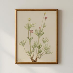 Vintage Botanische Skizze, Schlafzimmer Wandkunst, druckbare Wandkunst, Collected Prints - CPP194