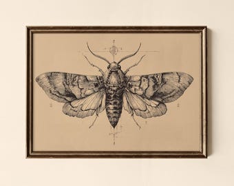 Vintage Moth Sketch Print, Animal Wall Art (Digital Download)