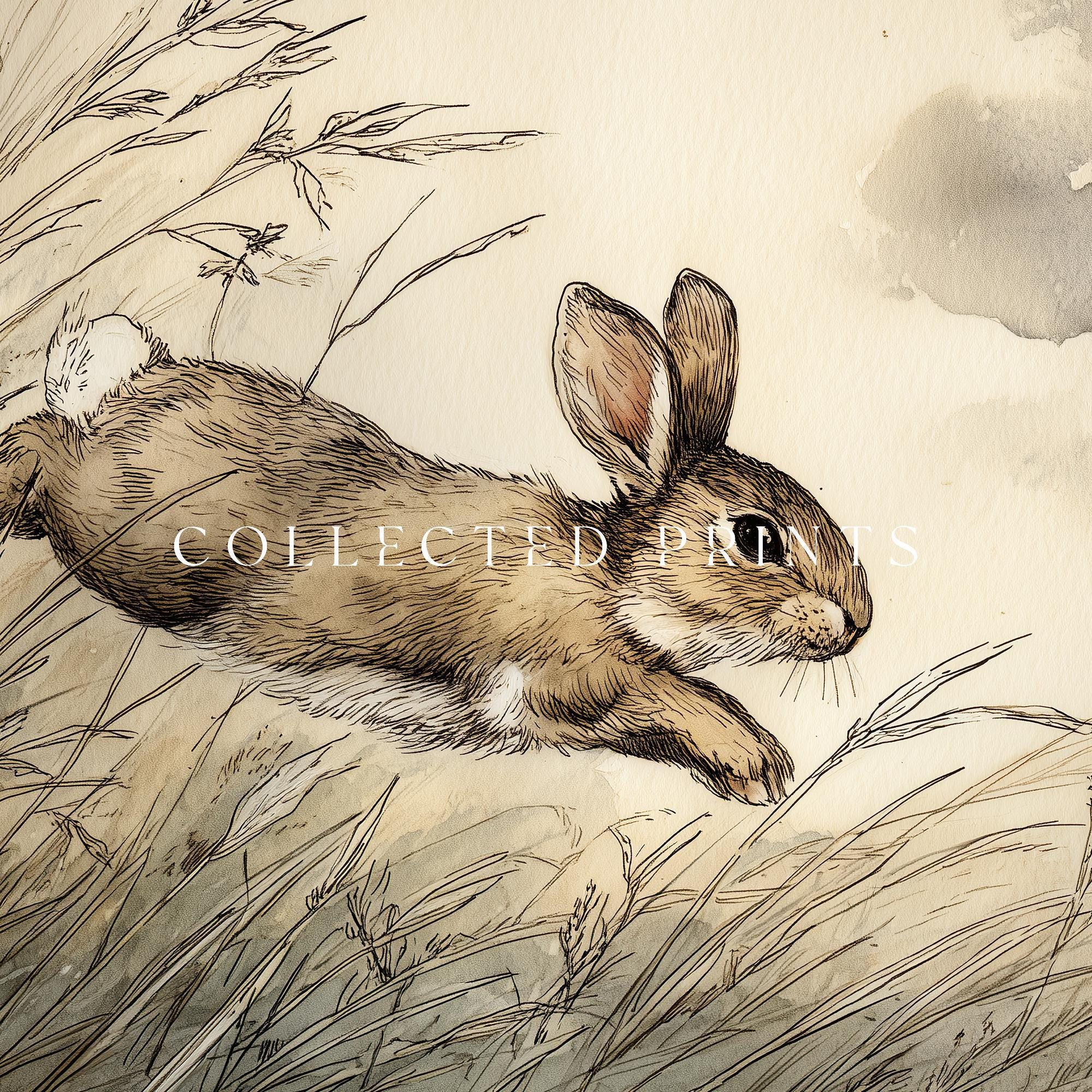 Vintage Rabbit Wall Art Print, Animal Illustration (digital Download ...