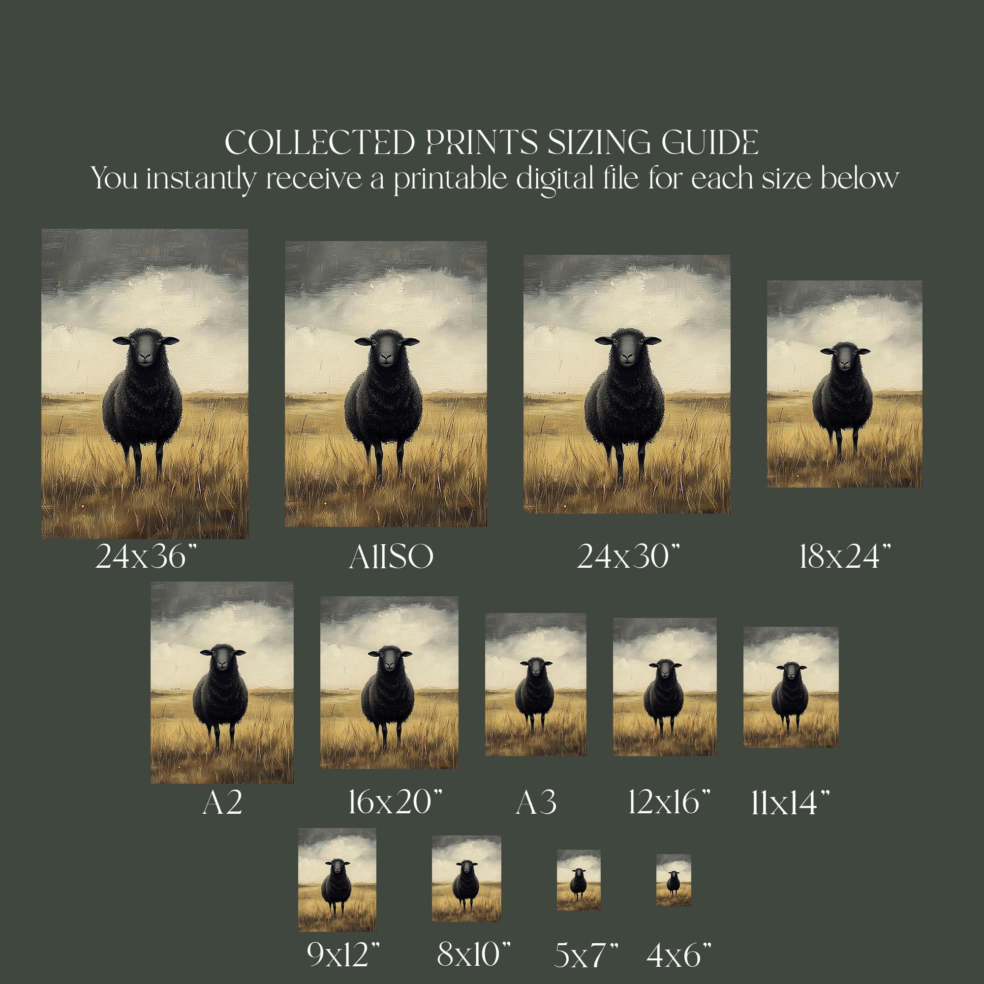 Black Sheep US オリジナル　5枚セット Black Sheep Art Print: Cottagecore Farmhouse Wall Decor, French