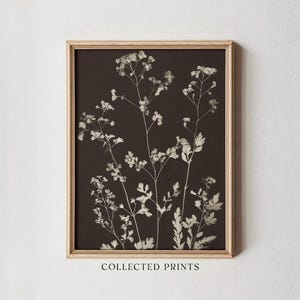 May include: A framed botanical print featuring delicate white flowers and foliage against a dark brown background. The artwork is enclosed in a light brown wooden frame. The text "COLLECTED PRINTS" is printed at the bottom of the image.