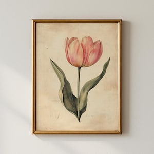 Vintage Tulip Print, Botanical Print, Gallery Wall Art, Digital Art Print, Collected Prints - CPP463