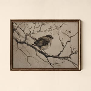 Vintage Bird Print, Animal Wall Art, Digital Art Print, Collected Prints - CPL451