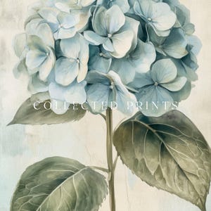 Blue Hydrangea Flower Print: Vintage Botanical Spring Wall Art, French Country Decor, Printable (Digital Download) image 12