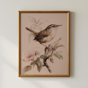 Puede incluir: Una impresión enmarcada que presenta una ilustración detallada de un pequeño pájaro posado en una rama floreciente. El pájaro tiene plumas marrones y blancas, y las flores son de un rosa suave. La obra de arte está sobre un fondo rosa pálido y enmarcada en oro.