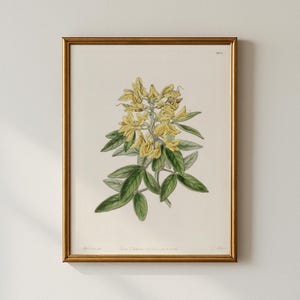 Vintage Yellow Blossoms Print, Bedroom Wall Art, Printable Wall Art, Collected Prints - CPP255