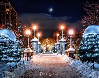 Boston Common Winter