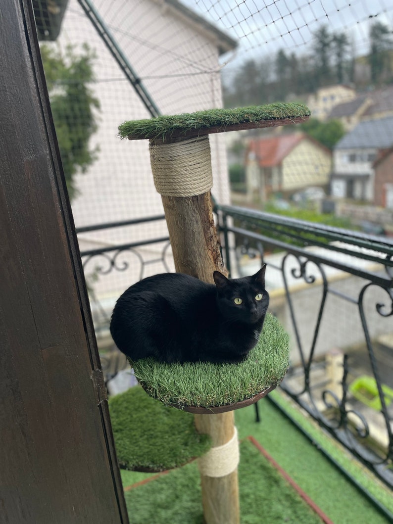 Outdoor Cat Tree in Natural Wood cypresses Etsy