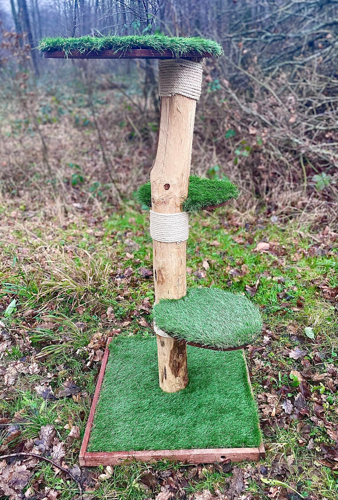 Outdoor Cat Tree in Natural Wood cypresses Etsy