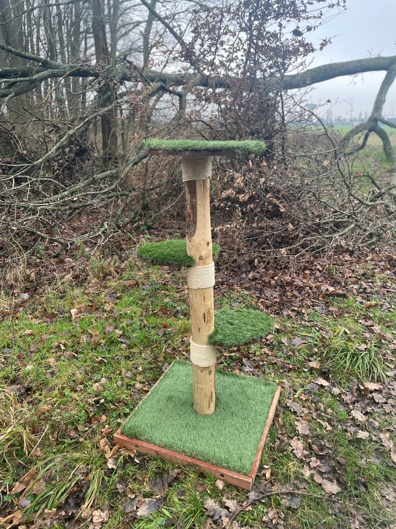 Outdoor Cat Tree in Natural Wood cypresses Etsy