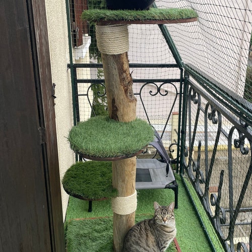 Outdoor Cat Tree in Natural Wood cypresses Etsy