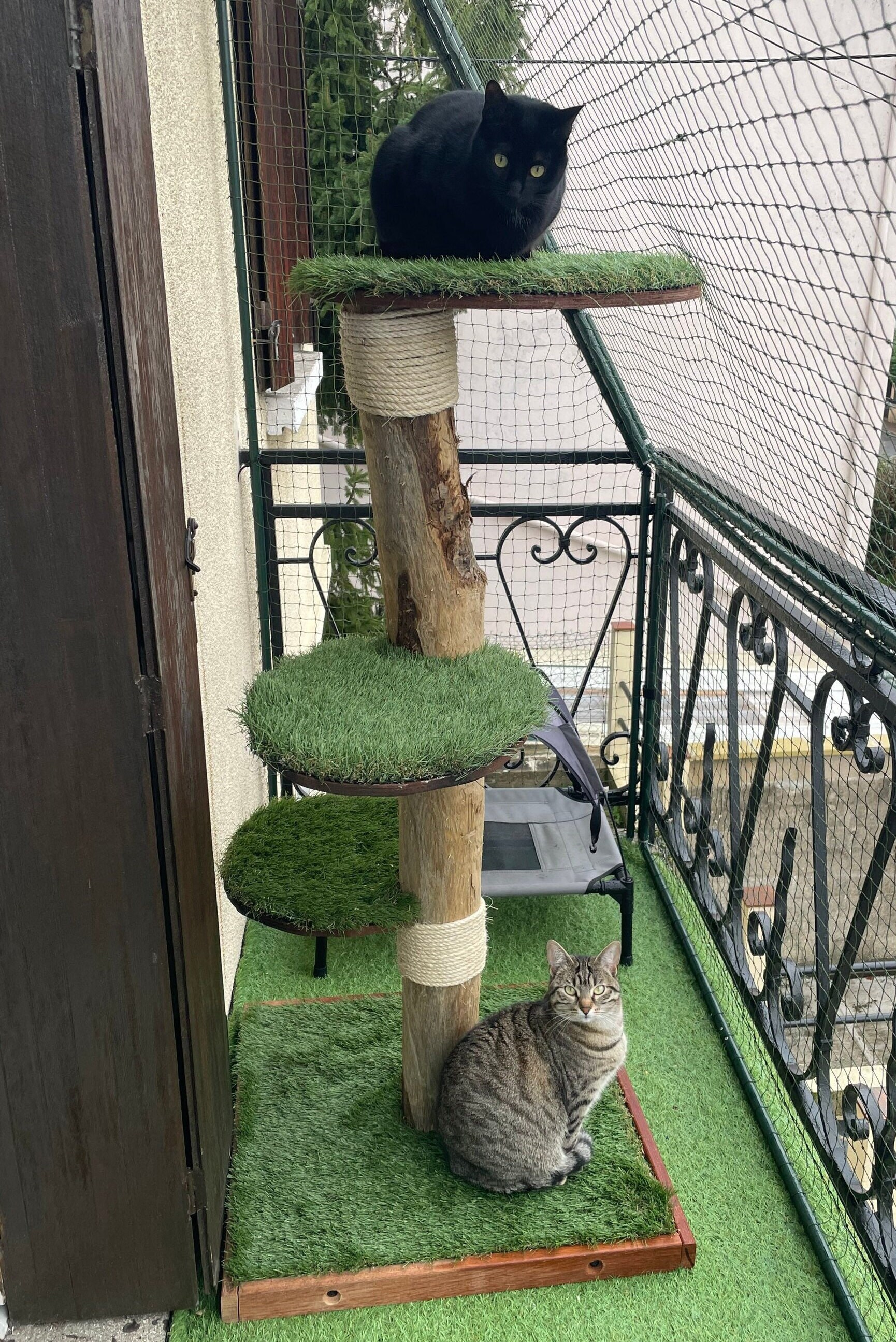 Outdoor Cat Tree in Natural Wood cypresses Etsy