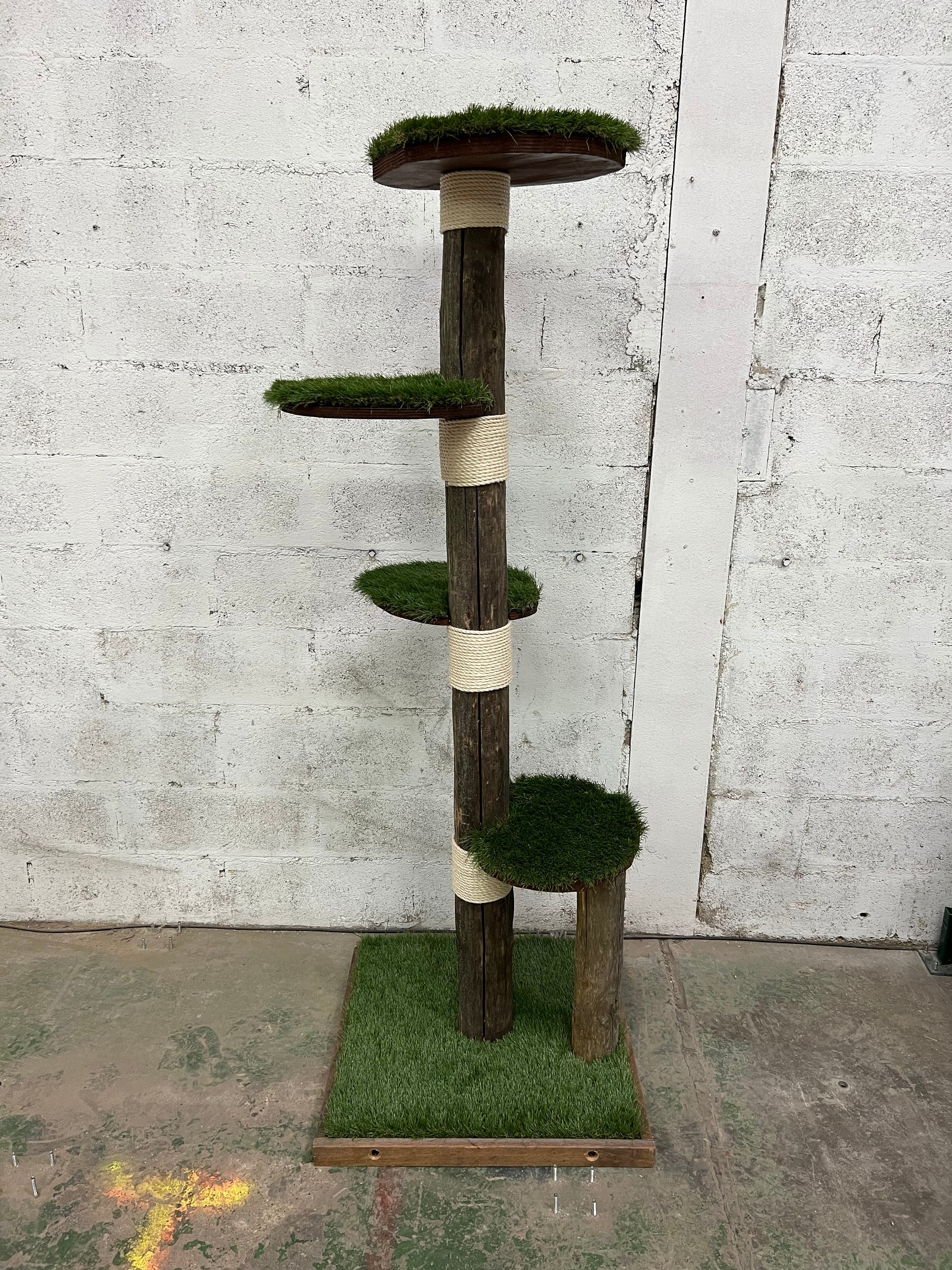 Redwood hotsell cat tree