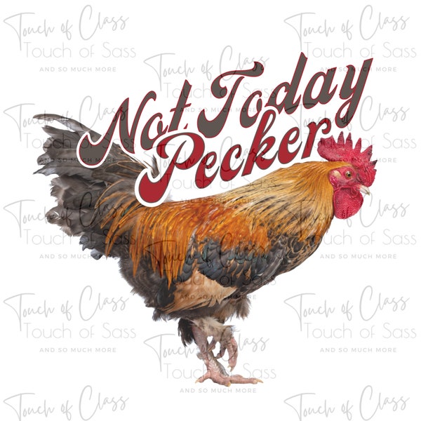 Not Today Pecker Chicken Rooster Sublimation Design Download PNG File