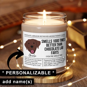 Personalized Chocolate Lab Gifts, Funny Lab Dog Candle, Custom Labrador Gifts, Labrador Retriever Mom, Dog Dad Gift, Light When Dog Farts